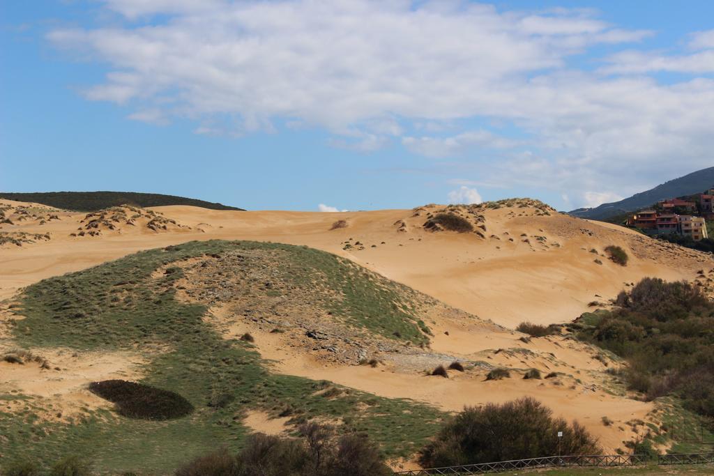 Le Dune Di 托雷戴科尔萨里 外观 照片